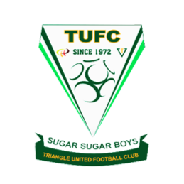 特赖安格尔联logo