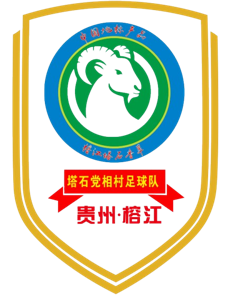 党相村足球队logo