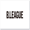 日本B联赛精英队logo